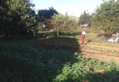 Отдельно стоящий дом с участком на продажу в городе Дос-Эрманас Фото