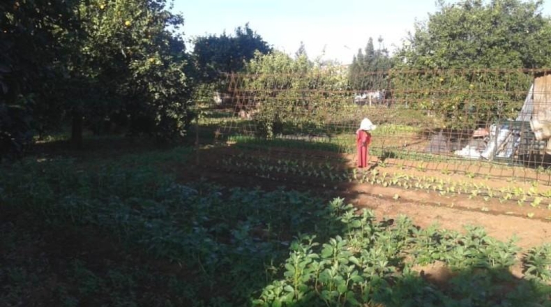 Sevilla - Dos Hermanas - 2200m2