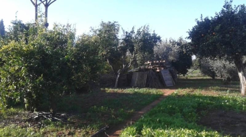 Sevilla - Dos Hermanas - 2200m2