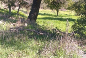 Castilblanco de los Arroyos 36000&nbsp;м²