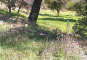 Земля на продажу у города Castilblanco de los Arroyos Фото