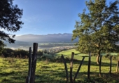 Finca rústica en venda a la España, Sopeñano, ref.: TR291477 foto