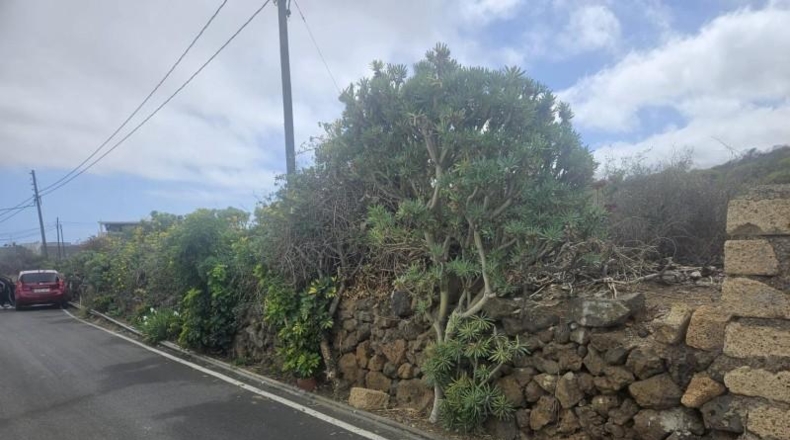 Santa Cruz de Tenerife - Granadilla de Abona - 2275m2