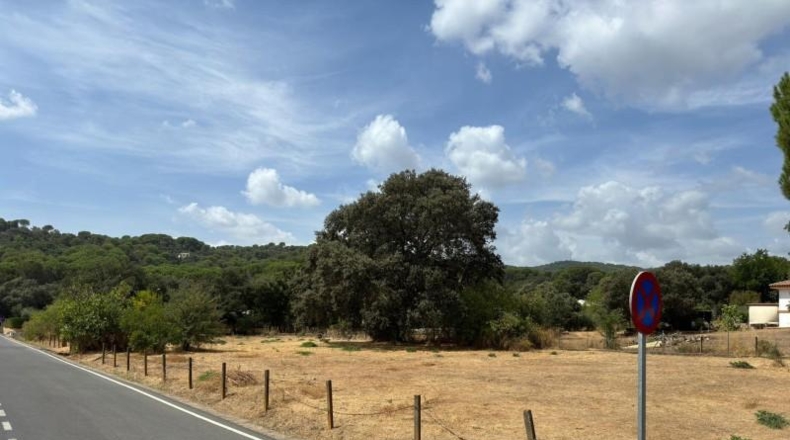 Córdoba - Córdoba - 3000m2