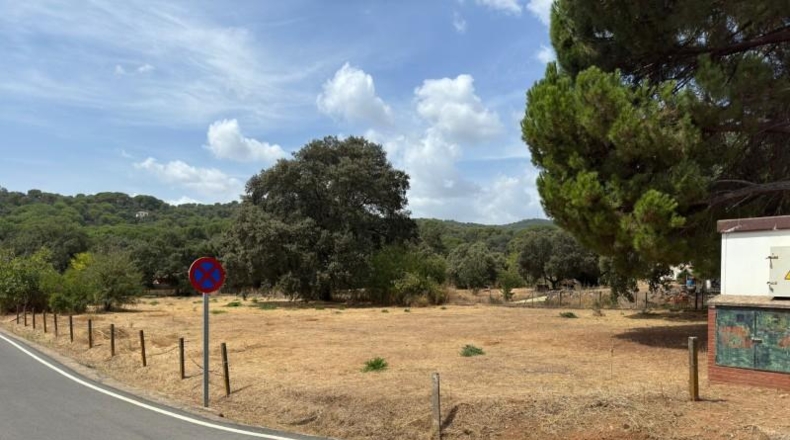 Córdoba - Córdoba - 3000m2