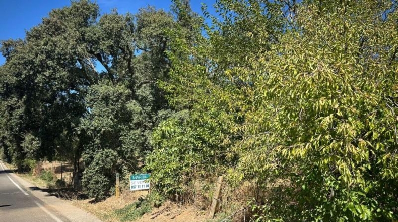 Córdoba - Córdoba - 3000m2