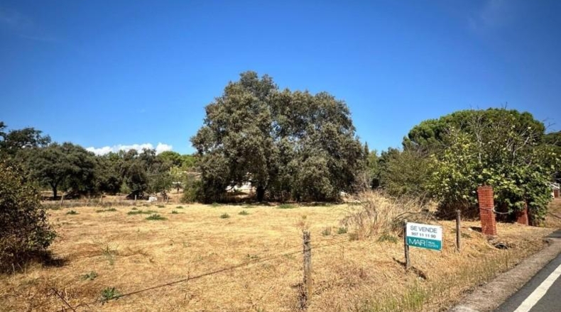 Córdoba - Córdoba - 3000m2