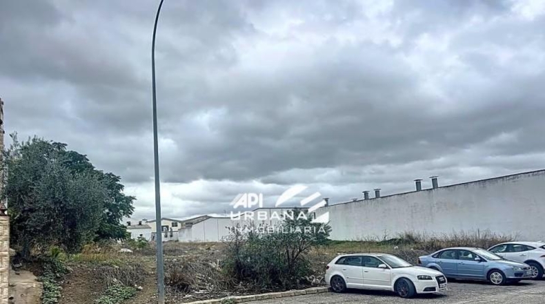 Córdoba - Lucena - 3161m2