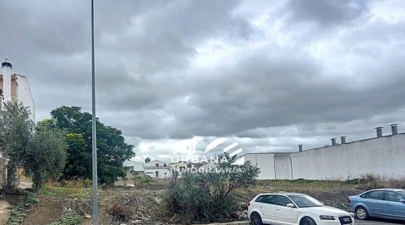 Córdoba - Lucena - 3161m2
