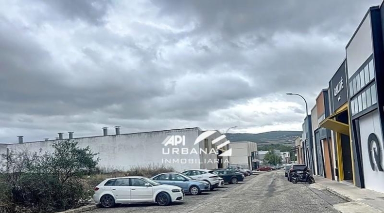 Córdoba - Lucena - 3161m2