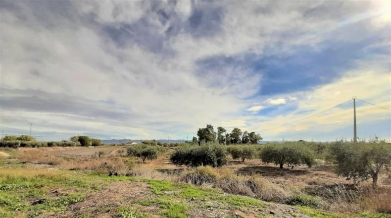 Мурсия - Lorca - 9000m2