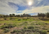 Casa amb terreny en venda a la España, Lorca, ref.: TR318247 foto