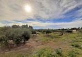 Casa amb terreny en venda a la España, Lorca, ref.: TR318247 foto