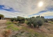 Casa amb terreny en venda a la España, Lorca, ref.: TR318247 foto