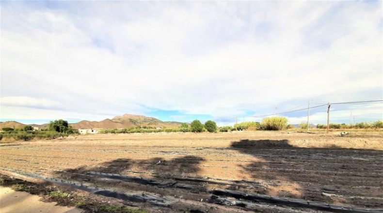 Мурсия - Lorca - 9000m2