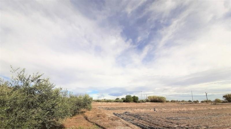 Мурсия - Lorca - 9000m2