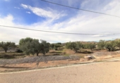 Casa amb terreny en venda a la España, Lorca, ref.: TR318247 foto