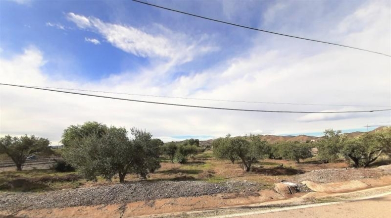 Мурсия - Lorca - 9000m2