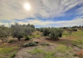 Casa amb terreny en venda a la España, Lorca, ref.: TR318247 foto