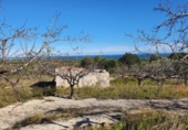 Chalet independiente con terreno en venta en la España, l'Ametlla de Mar, ref: TR153771 foto