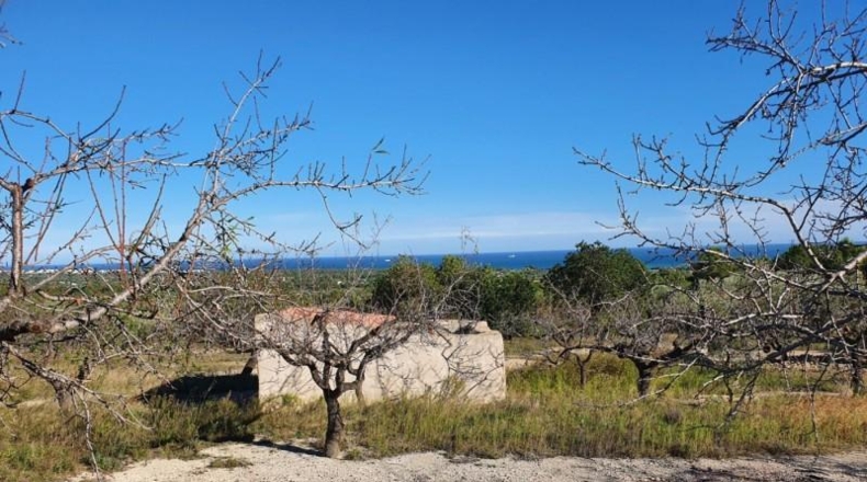 Tarragona - l'Ametlla de Mar - 36169m2