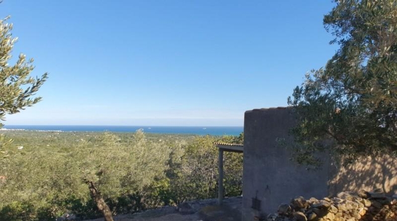 Tarragona - l'Ametlla de Mar - 36169m2