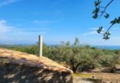 Chalet independiente con terreno en venta en la España, l'Ametlla de Mar, ref: TR153771 foto