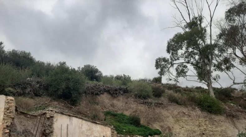 Almeria - Cuevas del Almanzora - 2000m2