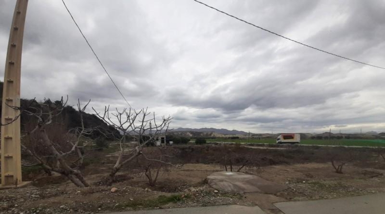 Almeria - Cuevas del Almanzora - 2000m2