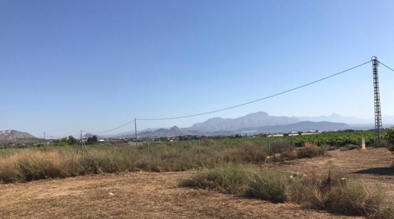 Alicante - Аспе - 9300m2