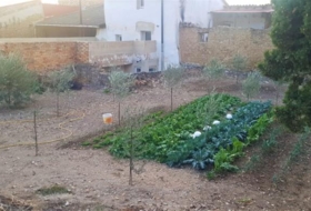 Foto 10