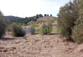 Casa de camp amb terreny en venda a la España, Vélez-Rubio, ref.: TR295547 foto