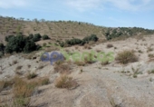 Casa de camp amb terreny en venda a la España, Vélez-Rubio, ref.: TR295547 foto