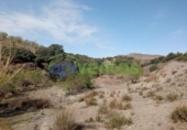 Casa de camp amb terreny en venda a la España, Vélez-Rubio, ref.: TR295547 foto