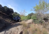 Casa de camp amb terreny en venda a la España, Vélez-Rubio, ref.: TR295547 foto