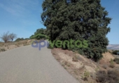 Casa de camp amb terreny en venda a la España, Vélez-Rubio, ref.: TR295547 foto
