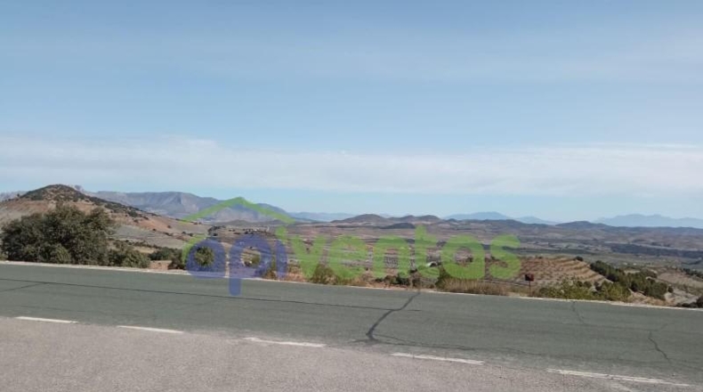 Almería - Vélez-Rubio - 110000m2