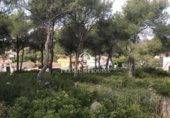 Parcel·la urbanitzable en venda a la España, Sant Pere de Ribes, ref.: TR115776 foto