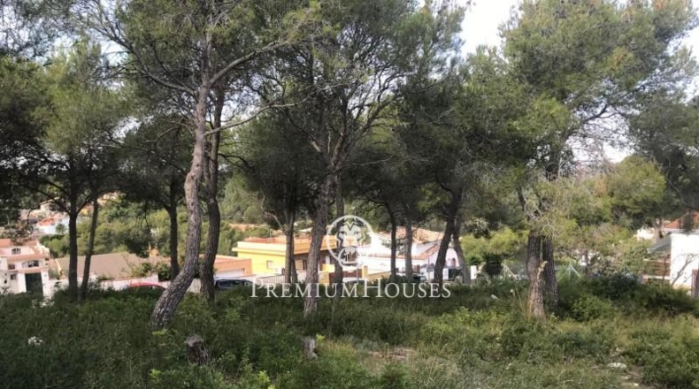 Barcelona - Sant Pere de Ribes - 819m2