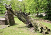 Casa de poble en venda a la España, Terán, ref.: TR296027 foto