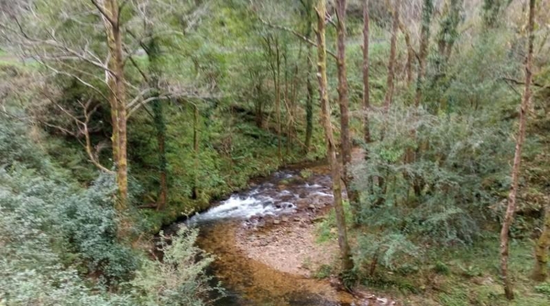 Asturias - Cudillero - 4400m2