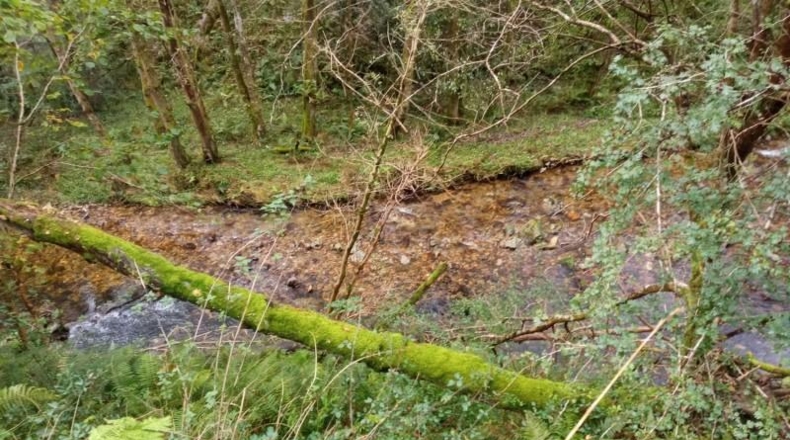 Asturias - Cudillero - 4400m2