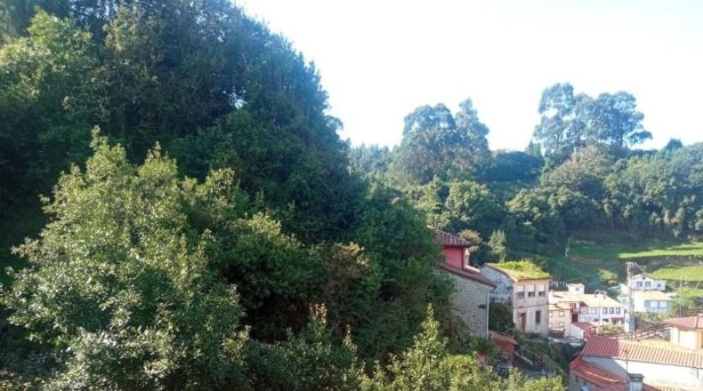 Asturias - Cudillero - 4400m2
