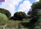 Terreny no urbanitzable en venda a la España, Barbate, ref.: TR287702 foto