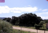Terreny no urbanitzable en venda a la España, Barbate, ref.: TR287702 foto