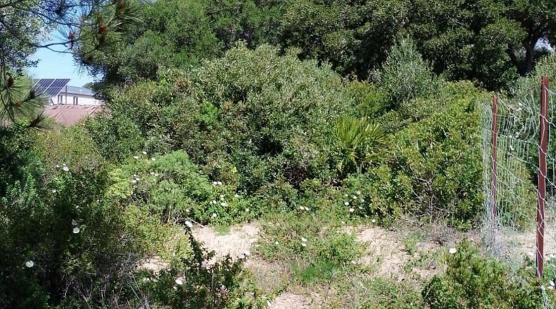 Кадис - Barbate - 1050m2