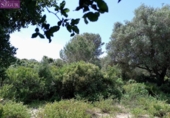 Terreny no urbanitzable en venda a la España, Barbate, ref.: TR287702 foto