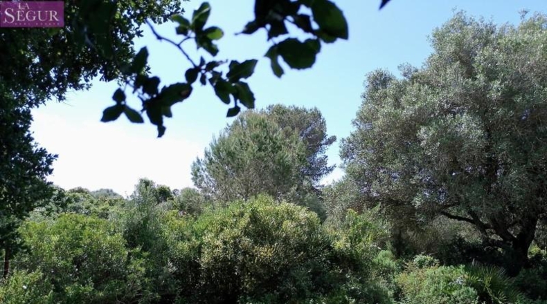 Кадис - Barbate - 1050m2
