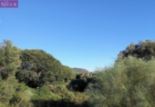 Terreny no urbanitzable en venda a la España, Barbate, ref.: TR287702 foto