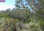 Terreny no urbanitzable en venda a la España, Barbate, ref.: TR287702 foto